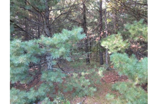 LOT 1 19th Ave, Necedah, WI 54646