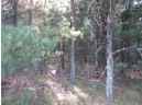 LOT 1 19th Ave, Necedah, WI 54646