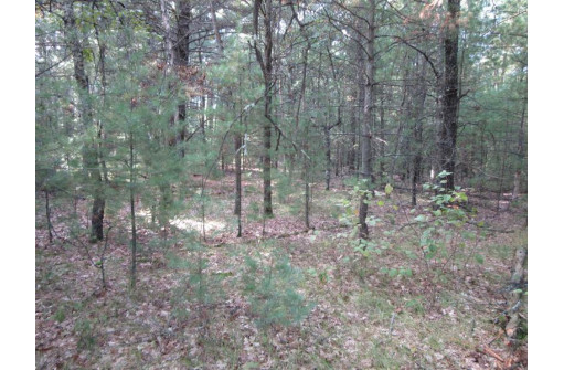 LOT 1 19th Ave, Necedah, WI 54646