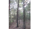 LOT 1 19th Ave, Necedah, WI 54646