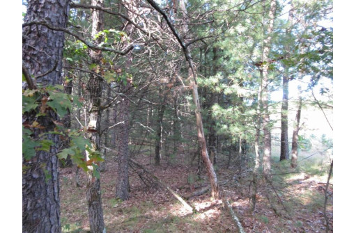 LOT 1 19th Ave, Necedah, WI 54646