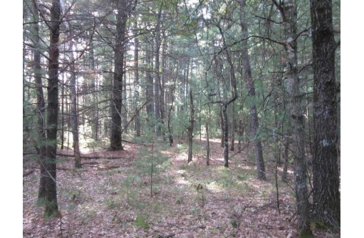 LOT 1 19th Ave, Necedah, WI 54646