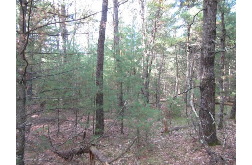 LOT 1 19th Ave, Necedah, WI 54646