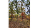 LOT 24 N Duck Creek Ct, Adams, WI 53910