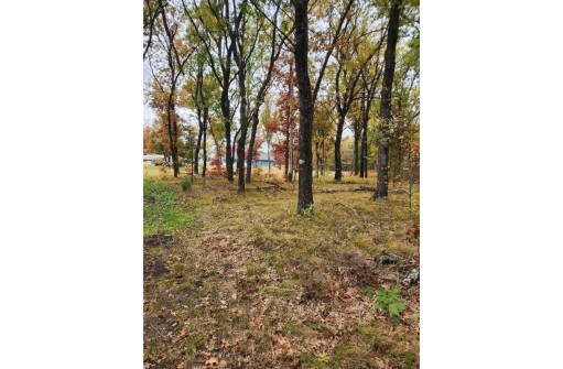 LOT 24 N Duck Creek Ct, Adams, WI 53910