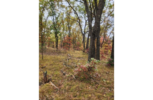 LOT 24 N Duck Creek Ct, Adams, WI 53910