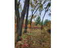 LOT 24 N Duck Creek Ct, Adams, WI 53910