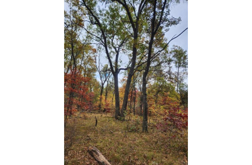 LOT 24 N Duck Creek Ct, Adams, WI 53910