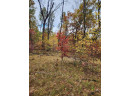 LOT 24 N Duck Creek Ct, Adams, WI 53910