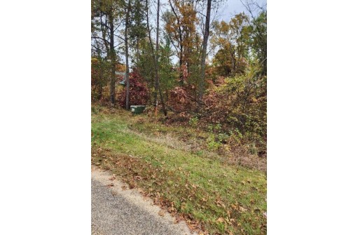 LOT 24 N Duck Creek Ct, Adams, WI 53910