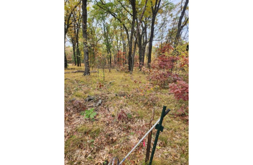 LOT 24 N Duck Creek Ct, Adams, WI 53910