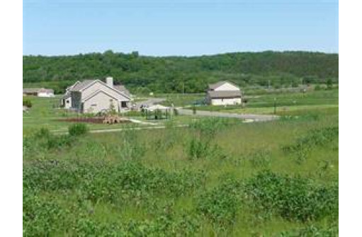 L98 Red Hawk Valley, Black Earth, WI 53515