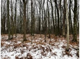 LOT 1032 Blue Ridge La Valle, WI 53941