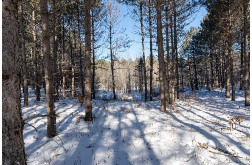 80 AC 7th Ave, New Lisbon, WI 53950