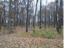 LOT 14 Oak Hill Estates E, Mauston, WI 53948