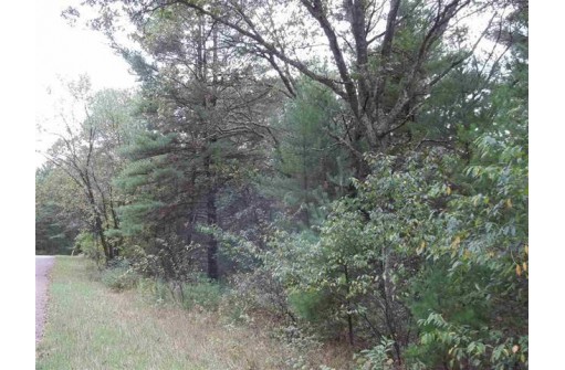 L11 W 17th Ln, Arkdale, WI 54613