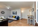 3909 Hynek Rd, Madison, WI 53714