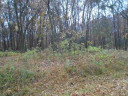 LOT 15 Oak Hill Estates E, Mauston, WI 53948