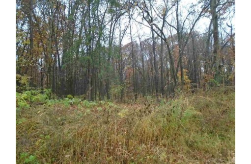 LOT 15 Oak Hill Estates E, Mauston, WI 53948