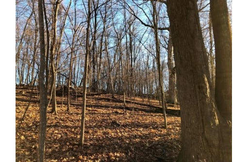 7.25 +/- ACRES Old 61 Rd, Gays Mills, WI 54631