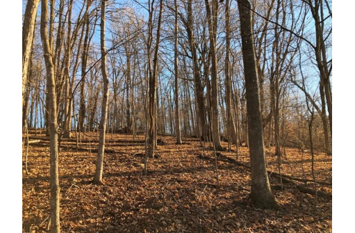 7.25 +/- ACRES Old 61 Rd, Gays Mills, WI 54631