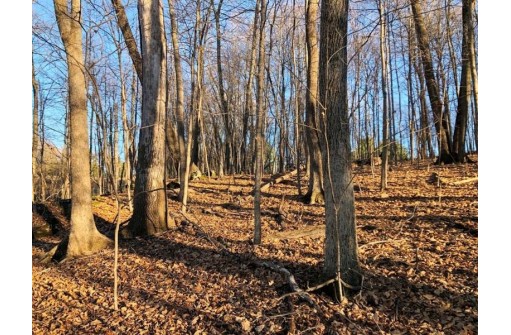 7.25 +/- ACRES Old 61 Rd, Gays Mills, WI 54631