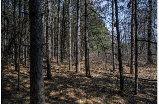 LOT 63 10th St, Necedah, WI 54646