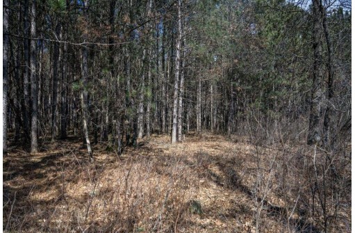 LOT 63 10th St, Necedah, WI 54646