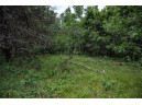 LOT 4 17th St, Necedah, WI 54646