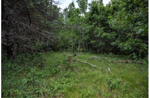 LOT 4 17th St, Necedah, WI 54646