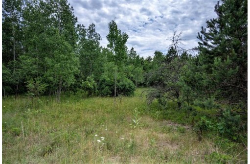 LOT 4 17th St, Necedah, WI 54646