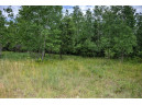 LOT 4 17th St, Necedah, WI 54646