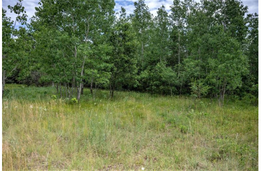 LOT 4 17th St, Necedah, WI 54646