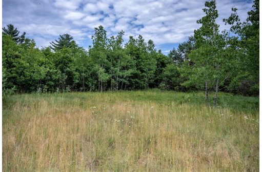 LOT 4 17th St, Necedah, WI 54646