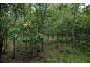 LOT 4 17th St, Necedah, WI 54646