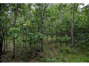 LOT 4 17th St Necedah, WI 54646