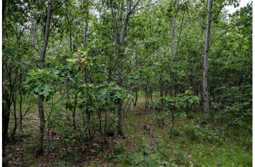 LOT 4 17th St, Necedah, WI 54646