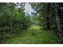 LOT 4 17th St, Necedah, WI 54646