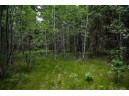 LOT 4 17th St, Necedah, WI 54646