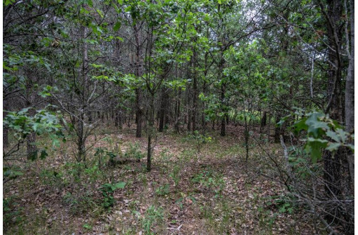 LOT 4 17th St, Necedah, WI 54646