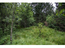 LOT 4 17th St, Necedah, WI 54646