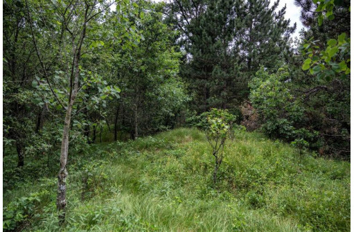 LOT 4 17th St, Necedah, WI 54646