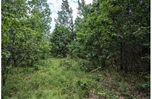 LOT 4 17th St, Necedah, WI 54646