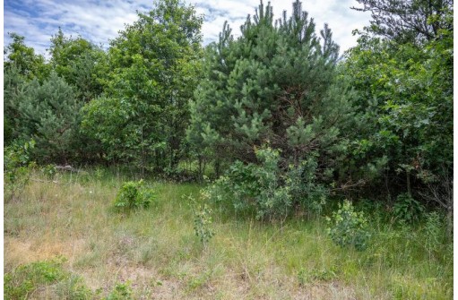 LOT 4 17th St, Necedah, WI 54646