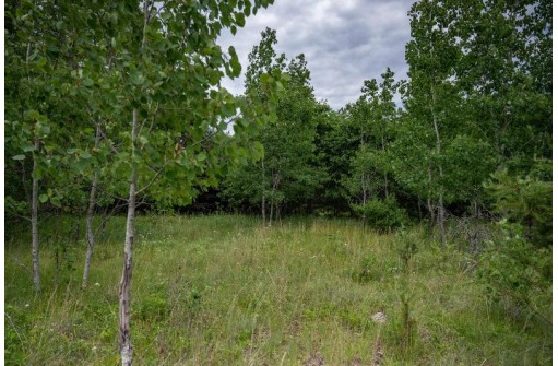 LOT 4 17th St, Necedah, WI 54646