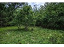 LOT 4 17th St, Necedah, WI 54646