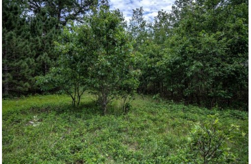 LOT 4 17th St, Necedah, WI 54646