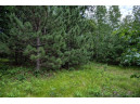 LOT 4 17th St, Necedah, WI 54646