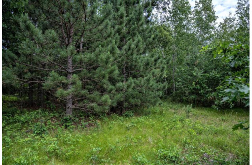 LOT 4 17th St, Necedah, WI 54646