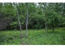 LOT 4 17th St, Necedah, WI 54646